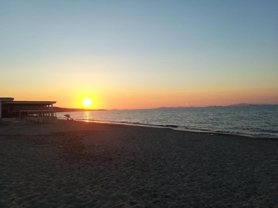 Apartament Casa Antonella Porto Torres Zewnętrze zdjęcie